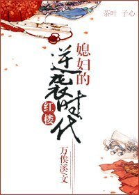 (紅樓同人)媳婦的逆襲時代